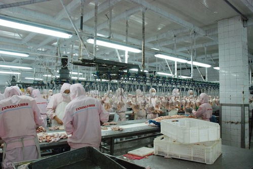 月薪近萬的工廠工作，為何搶不過日曬風吹的外賣騎手？——從“基礎電信業務”角度透視職業選擇變遷